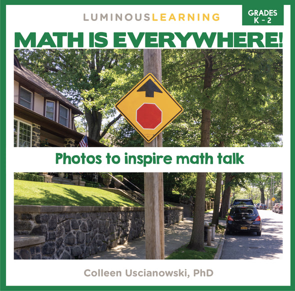 "Math is Everywhere" Picture Book for Grades K - 2